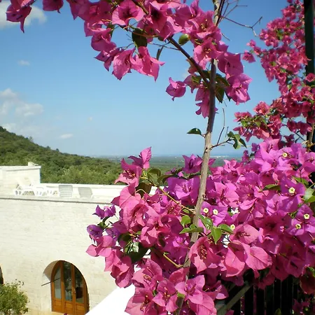 Masseria Morrone-2